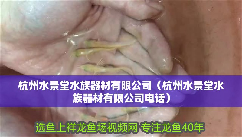 杭州水景堂水族器材有限公司（杭州水景堂水族器材有限公司電話）