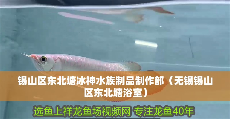 錫山區東北塘冰神水族制品制作部（無錫錫山區東北塘浴室）