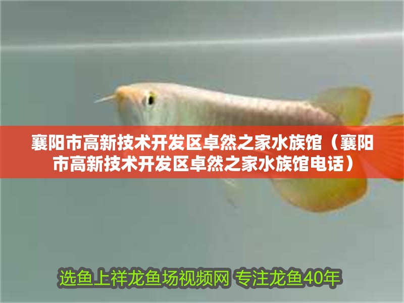 襄陽市高新技術開發區卓然之家水族館（襄陽市高新技術開發區卓然之家水族館電話）