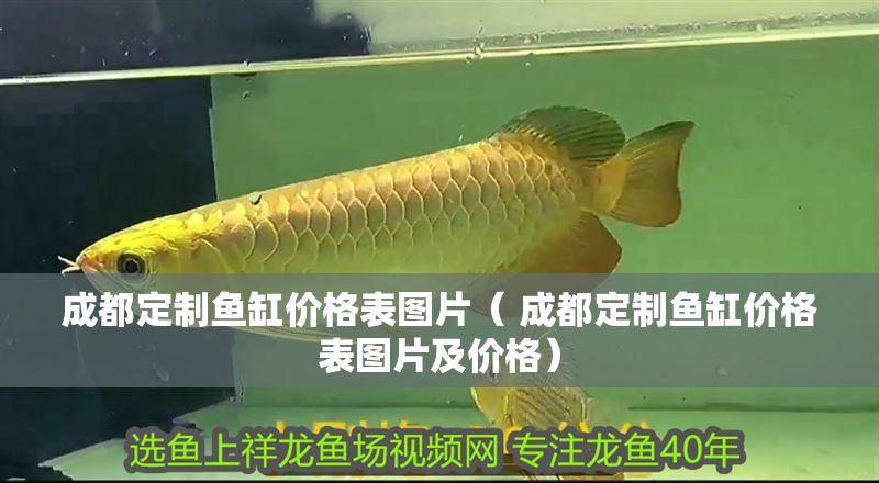 成都定制魚缸價格表圖片（ 成都定制魚缸價格表圖片及價格） 成都定制魚缸價格表圖片（ 成都定制魚缸價格表圖片及價格） 金龍魚百科 第1張