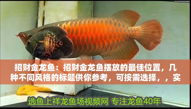 招財金龍魚：招財金龍魚擺放的最佳位置，幾種不同風格的標題供你參考，可按需選擇，，實用科普風，揭秘！招財金龍魚擺放的最佳位置，神秘玄學風，招財金龍魚靈效加持，探尋最佳擺放方位，直白吸睛風，必看！招財金龍魚該擺在哪兒最旺財？
