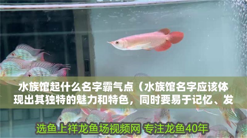 水族館起什么名字霸氣點（水族館名字應該體現出其獨特的魅力和特色，同時要易于記憶、發音清晰）