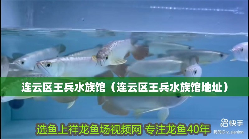 連云區王兵水族館（連云區王兵水族館地址）