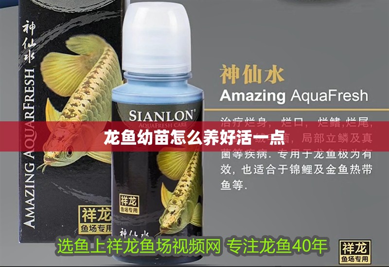 龍魚幼苗怎么養(yǎng)好活一點(diǎn) 龍魚百科 第2張 龍魚幼苗怎么養(yǎng)好活一點(diǎn) 龍魚幼苗怎么養(yǎng)好活一點(diǎn) 龍魚百科 第2張
