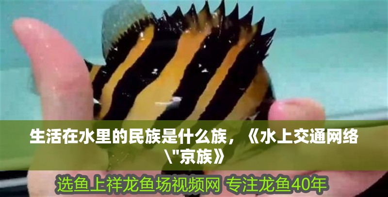 生活在水里的民族是什么族，《水上交通網絡\