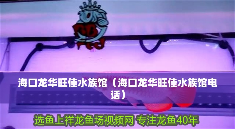 海口龍華旺佳水族館（海口龍華旺佳水族館電話）