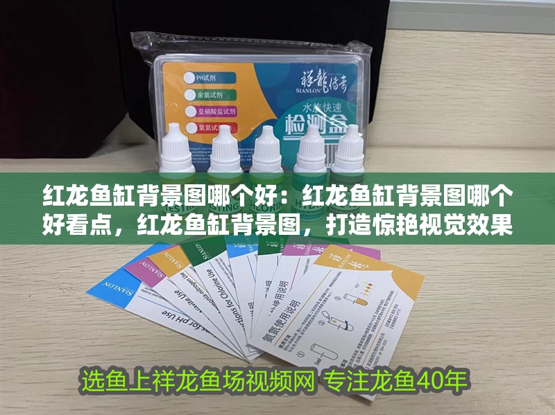 紅龍魚缸背景圖哪個好：紅龍魚缸背景圖哪個好看點，紅龍魚缸背景圖，打造驚艷視覺效果
