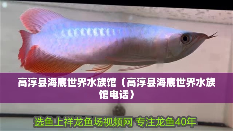 高淳縣海底世界水族館（高淳縣海底世界水族館電話） 高淳縣海底世界水族館（高淳縣海底世界水族館電話） 全國水族館企業名錄 第2張