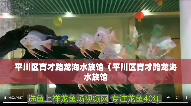 平川區育才路龍海水族館（平川區育才路龍海水族館