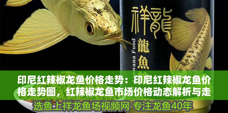 印尼紅辣椒龍魚價格走勢：印尼紅辣椒龍魚價格走勢圖，紅辣椒龍魚市場價格動態(tài)解析與走勢