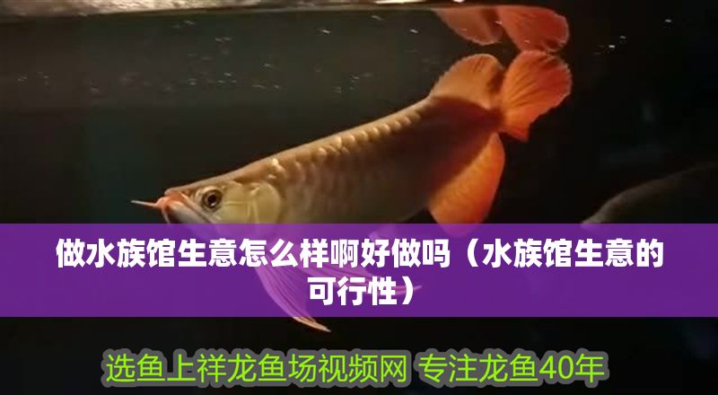 做水族館生意怎么樣啊好做嗎（水族館生意的可行性） 做水族館生意怎么樣啊好做嗎（水族館生意的可行性） 水族館百科（水族館加盟） 第1張