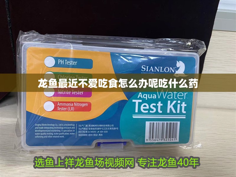 龍魚最近不愛吃食怎么辦呢吃什么藥