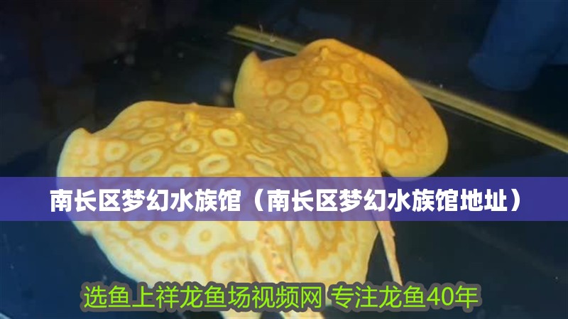 南長區(qū)夢幻水族館(南長區(qū)夢幻水族館地址) 全國水族館企業(yè)名錄 第2張 南長區(qū)夢幻水族館(南長區(qū)夢幻水族館地址) 南長區(qū)夢幻水族館(南長區(qū)夢幻水族館地址) 全國水族館企業(yè)名錄 第2張