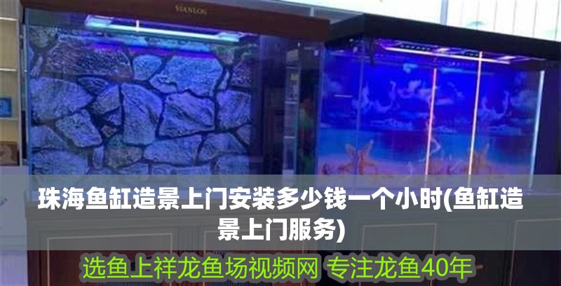 珠海魚缸造景上門安裝多少錢一個小時(魚缸造景上門服務)
