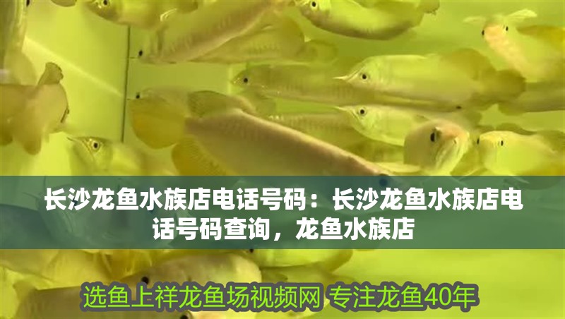 長沙龍魚水族店電話號碼：長沙龍魚水族店電話號碼查詢，龍魚水族店
