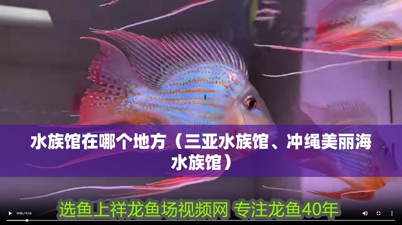 水族館在哪個地方（三亞水族館、沖繩美麗海水族館）