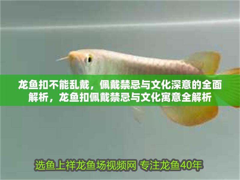 龍魚扣不能亂戴，佩戴禁忌與文化深意的全面解析，龍魚扣佩戴禁忌與文化寓意全解析