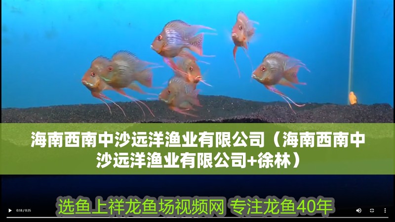 海南西南中沙遠洋漁業有限公司（海南西南中沙遠洋漁業有限公司+徐林）