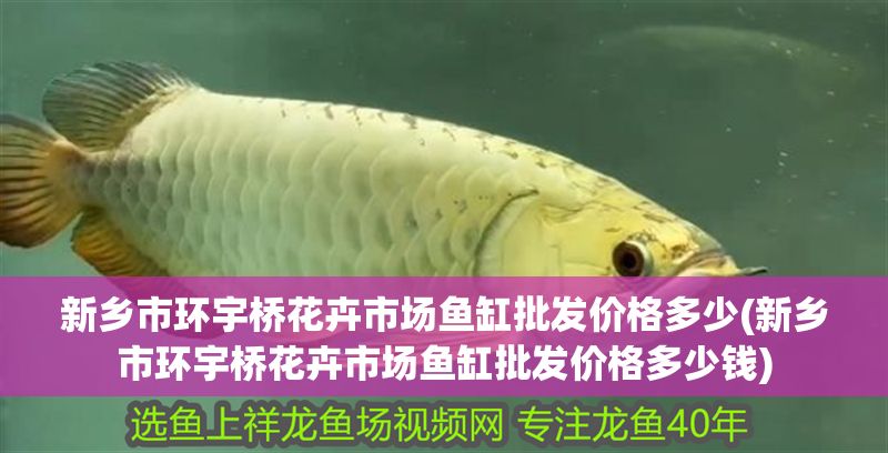 新鄉市環宇橋花卉市場魚缸批發價格多少(新鄉市環宇橋花卉市場魚缸批發價格多少錢) 新鄉市環宇橋花卉市場魚缸批發價格多少(新鄉市環宇橋花卉市場魚缸批發價格多少錢) 元寶鳳凰魚百科 第1張