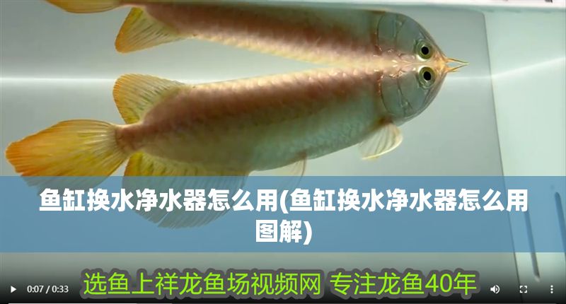 魚缸換水凈水器怎么用(魚缸換水凈水器怎么用圖解)