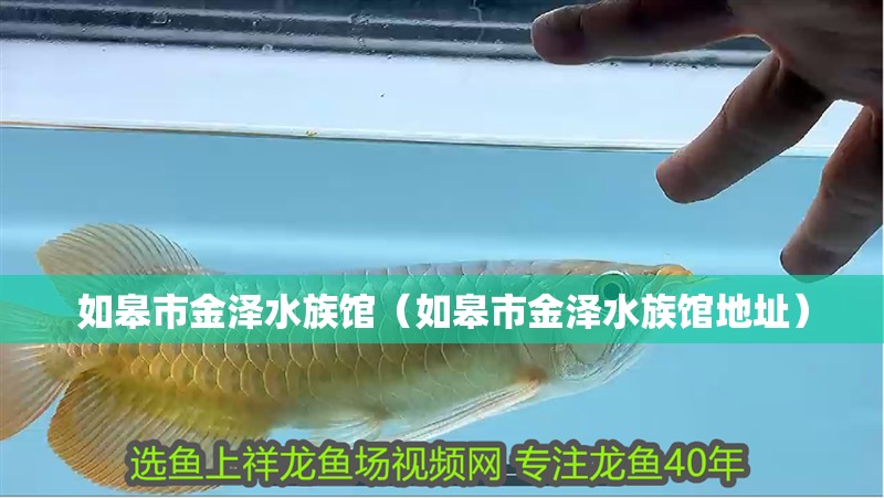 如皋市金澤水族館（如皋市金澤水族館地址）