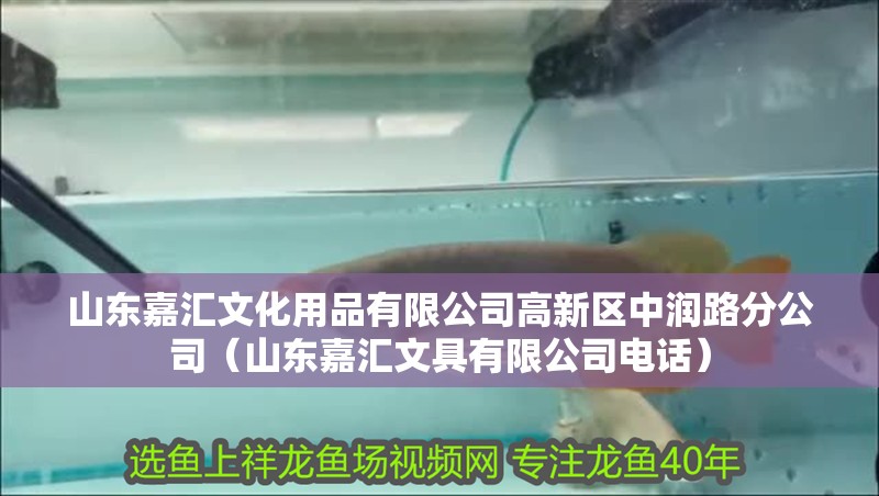 山東嘉匯文化用品有限公司高新區中潤路分公司（山東嘉匯文具有限公司電話）