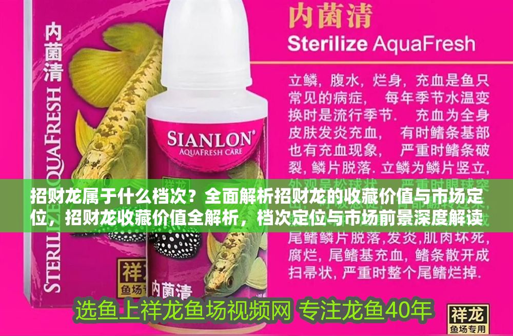 詳細閱讀:招財龍屬于什么檔次?全面解析招財龍的收藏價值與市場定位,招財龍收藏價值全解析,檔次定位與市場前景深度解讀 招財龍屬于什么檔次?全面解析招財龍的收藏價值與市場定位,招財龍收藏價值全解析,檔次定位與市場前景深度解讀