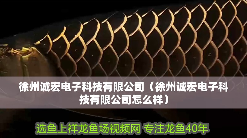 徐州誠(chéng)宏電子科技有限公司（徐州誠(chéng)宏電子科技有限公司怎么樣） 徐州誠(chéng)宏電子科技有限公司（徐州誠(chéng)宏電子科技有限公司怎么樣） 全國(guó)水族館企業(yè)名錄 第2張