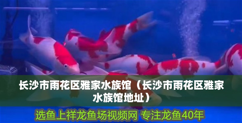 長沙市雨花區雅家水族館（長沙市雨花區雅家水族館地址） 長沙市雨花區雅家水族館（長沙市雨花區雅家水族館地址） 全國水族館企業名錄 第2張
