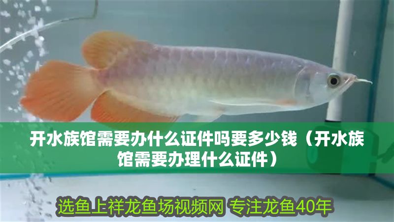 開水族館需要辦什么證件嗎要多少錢（開水族館需要辦理什么證件） 開水族館需要辦什么證件嗎要多少錢（開水族館需要辦理什么證件） 水族館百科（水族館加盟） 第1張