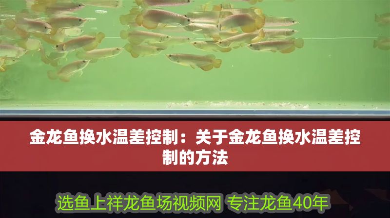 金龍魚換水溫差控制：關于金龍魚換水溫差控制的方法 金龍魚換水溫差控制：關于金龍魚換水溫差控制的方法 金龍魚百科 第2張