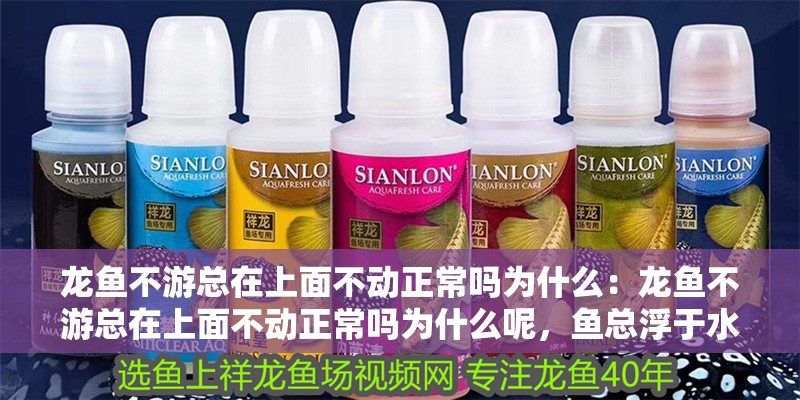 龍魚不游總在上面不動正常嗎為什么：龍魚不游總在上面不動正常嗎為什么呢，魚總浮于水面不游動是否正常