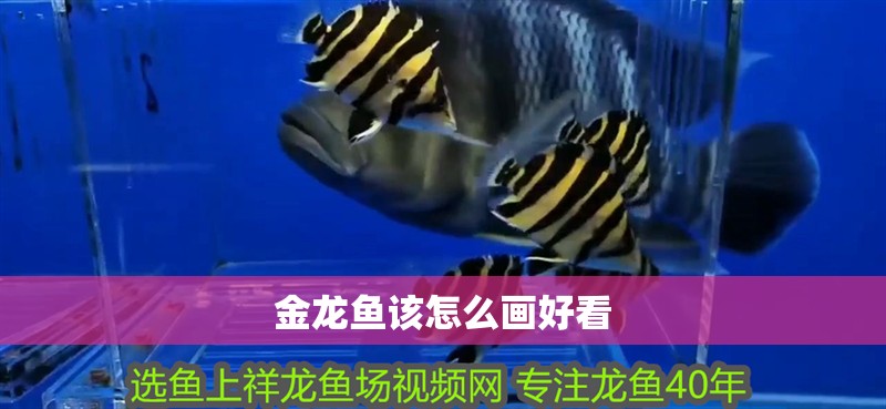 金龍魚該怎么畫好看