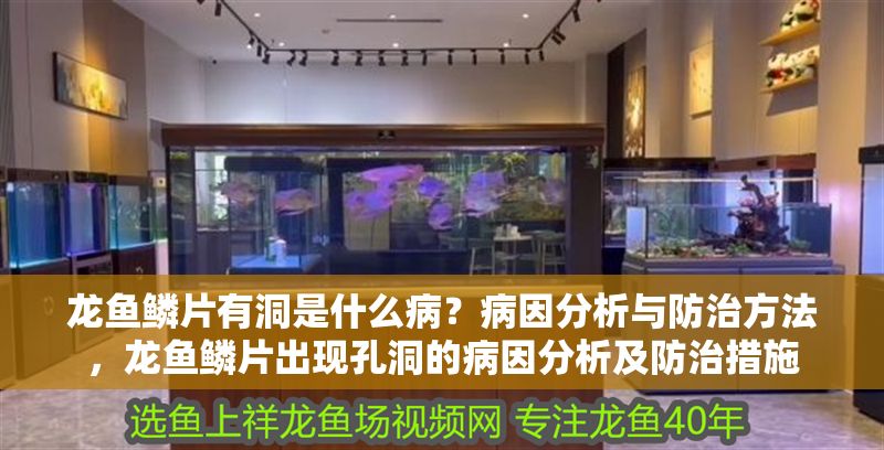 龍魚(yú)鱗片有洞是什么病？病因分析與防治方法，龍魚(yú)鱗片出現(xiàn)孔洞的病因分析及防治措施