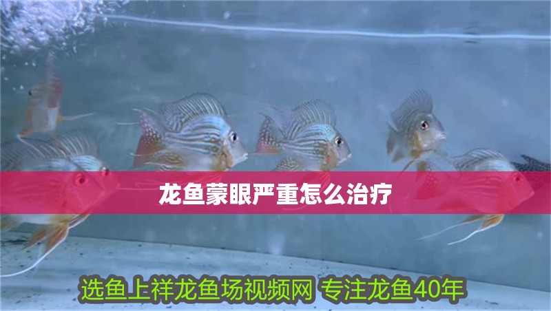 龍魚蒙眼嚴重怎么治療