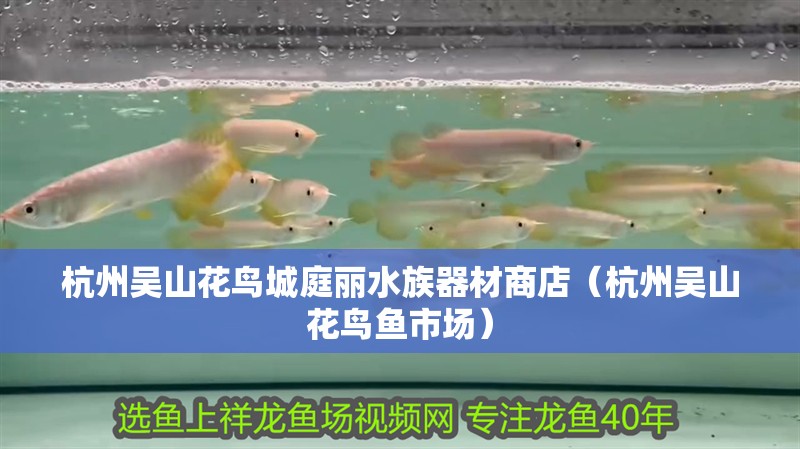杭州吳山花鳥(niǎo)城庭麗水族器材商店（杭州吳山花鳥(niǎo)魚(yú)市場(chǎng)） 杭州吳山花鳥(niǎo)城庭麗水族器材商店（杭州吳山花鳥(niǎo)魚(yú)市場(chǎng)） 全國(guó)水族館企業(yè)名錄 第2張