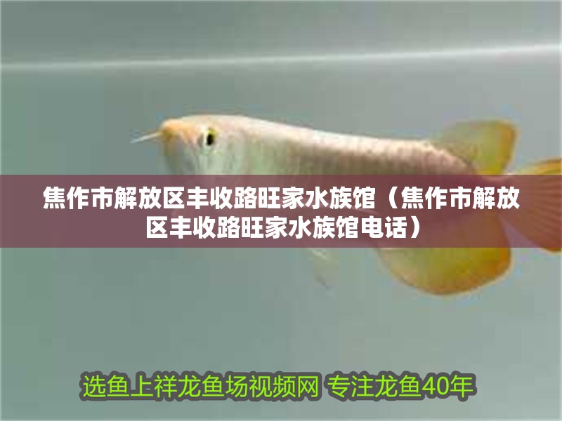 焦作市解放區豐收路旺家水族館（焦作市解放區豐收路旺家水族館電話）