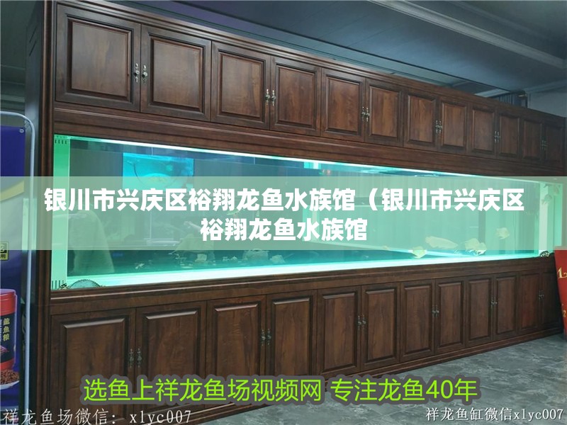 銀川市興慶區裕翔龍魚水族館(銀川市興慶區裕翔龍魚水族館 全國水族館企業名錄 第2張 銀川市興慶區裕翔龍魚水族館(銀川市興慶區裕翔龍魚水族館 銀川市興慶區裕翔龍魚水族館(銀川市興慶區裕翔龍魚水族館 全國水族館企業名錄 第2張