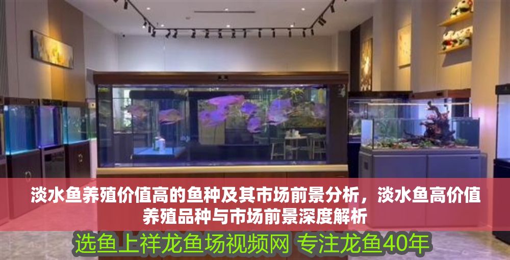 淡水魚(yú)養(yǎng)殖價(jià)值高的魚(yú)種及其市場(chǎng)前景分析，淡水魚(yú)高價(jià)值養(yǎng)殖品種與市場(chǎng)前景深度解析