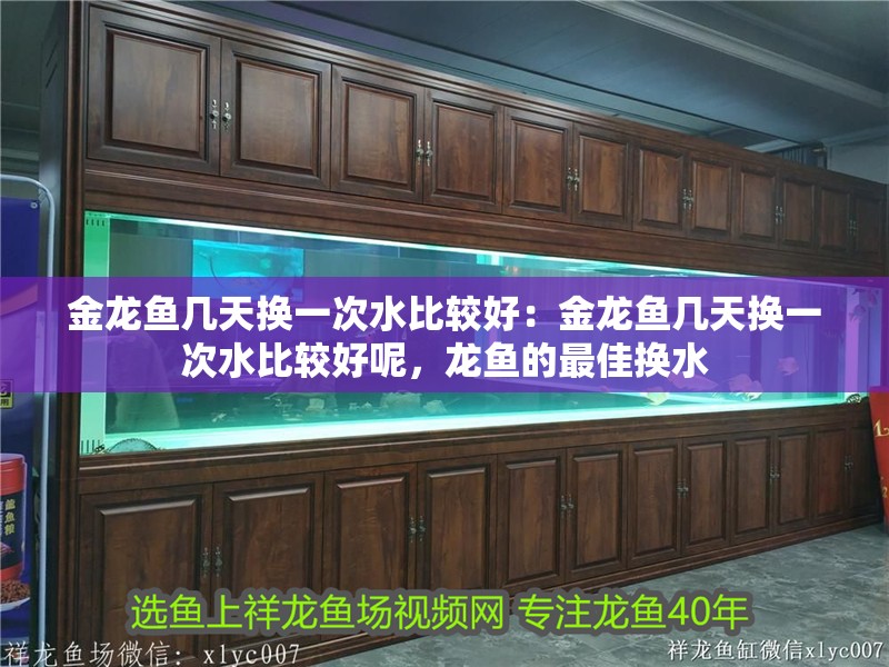 金龍魚(yú)幾天換一次水比較好：金龍魚(yú)幾天換一次水比較好呢，龍魚(yú)的最佳換水
