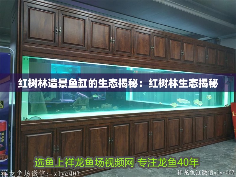 紅樹林造景魚缸的生態(tài)揭秘：紅樹林生態(tài)揭秘