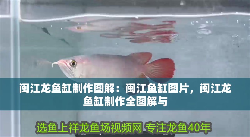 閩江龍魚缸制作圖解：閩江魚缸圖片，閩江龍魚缸制作全圖解與