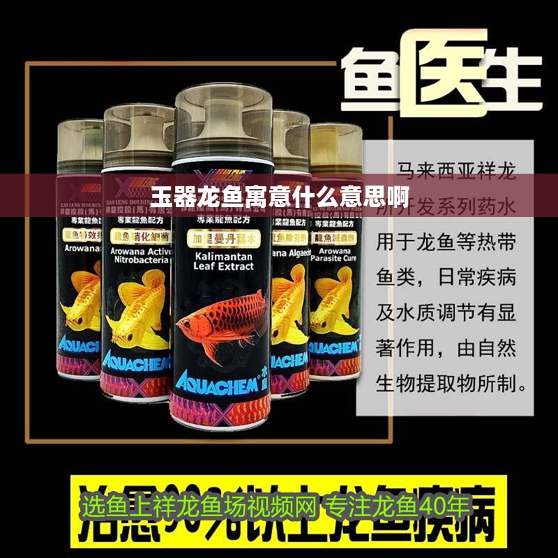 玉器龍魚寓意什么意思啊