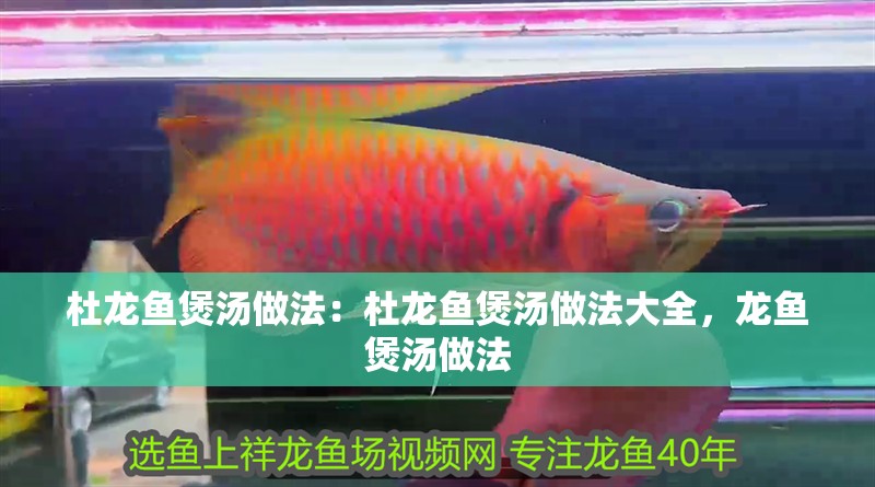 杜龍魚煲湯做法：杜龍魚煲湯做法大全，龍魚煲湯做法
