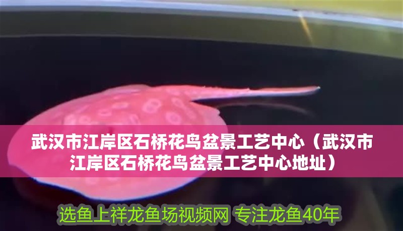 武漢市江岸區(qū)石橋花鳥盆景工藝中心（武漢市江岸區(qū)石橋花鳥盆景工藝中心地址）