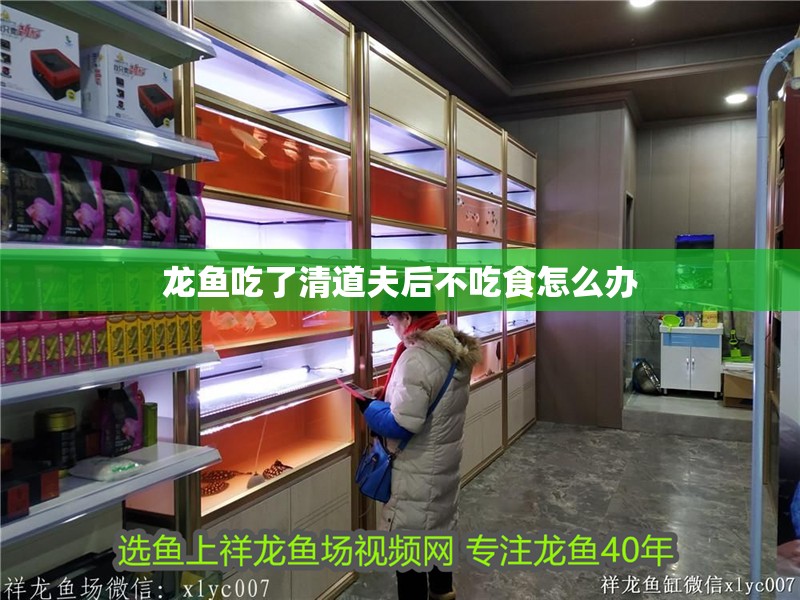 龍魚吃了清道夫后不吃食怎么辦 龍魚百科 第4張 龍魚吃了清道夫后不吃食怎么辦 龍魚吃了清道夫后不吃食怎么辦 龍魚百科 第4張