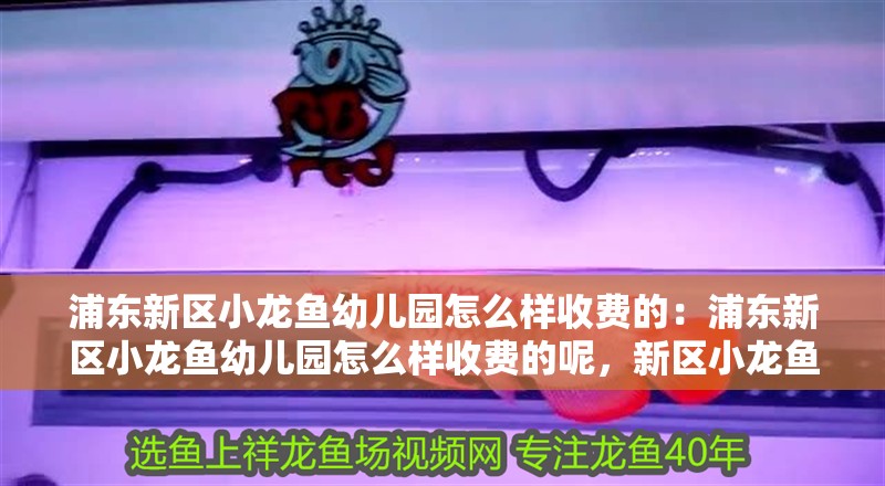 浦東新區小龍魚幼兒園怎么樣收費的：浦東新區小龍魚幼兒園怎么樣收費的呢，新區小龍魚幼兒園收費標準 浦東新區小龍魚幼兒園怎么樣收費的：浦東新區小龍魚幼兒園怎么樣收費的呢，新區小龍魚幼兒園收費標準 水族問答