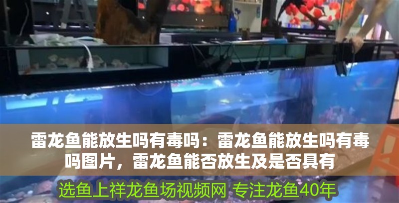 雷龍魚能放生嗎有毒嗎：雷龍魚能放生嗎有毒嗎圖片，雷龍魚能否放生及是否具有 雷龍魚能放生嗎有毒嗎：雷龍魚能放生嗎有毒嗎圖片，雷龍魚能否放生及是否具有 水族問答
