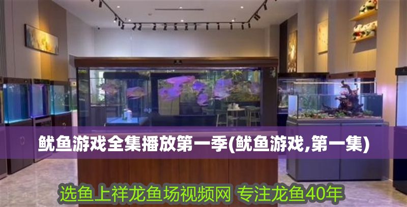 魷魚游戲全集播放第一季(魷魚游戲,第一集)