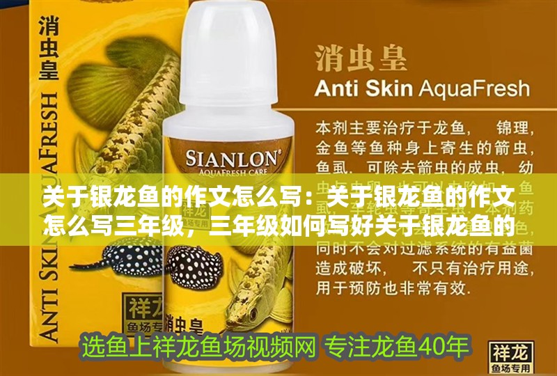 關(guān)于銀龍魚的作文怎么寫：關(guān)于銀龍魚的作文怎么寫三年級，三年級如何寫好關(guān)于銀龍魚的作文